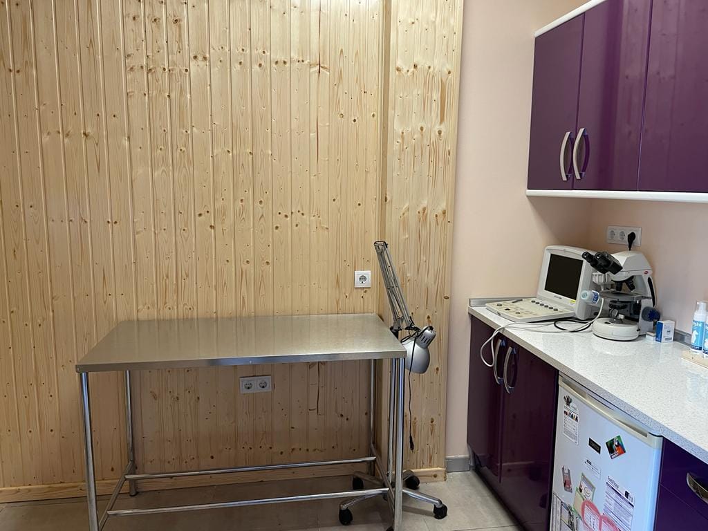 Instalaciones del veterinario CentralVet en Alcorcón